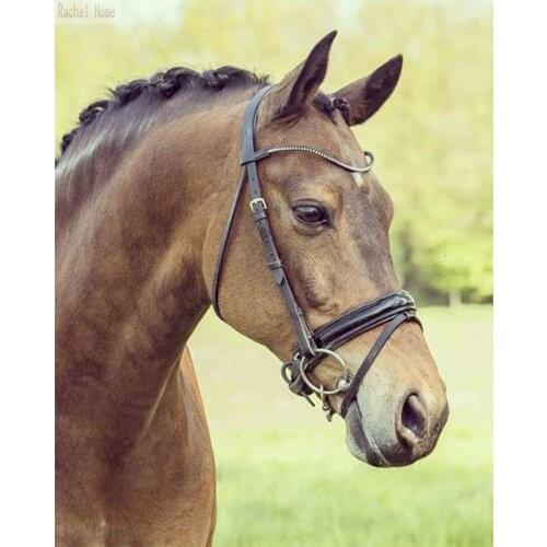 Diamond Embroidery Diy Diamond Painting Cross Stitch Kits Diamond Mosaic Horse Full Square Diamond Embroidery AD113