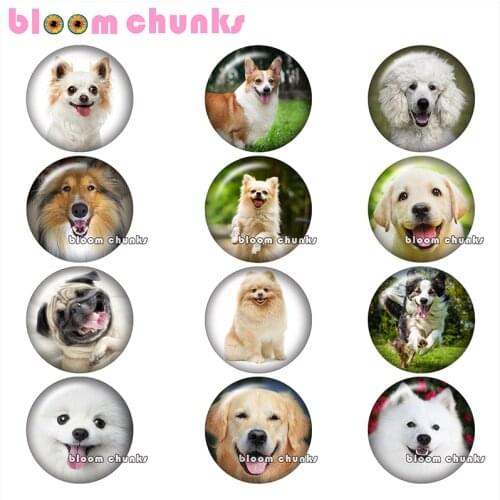 Animal Happy dog Round photo glass cabochon demo flat back Making findings 12mm/18mm/20mm/25mm A8598