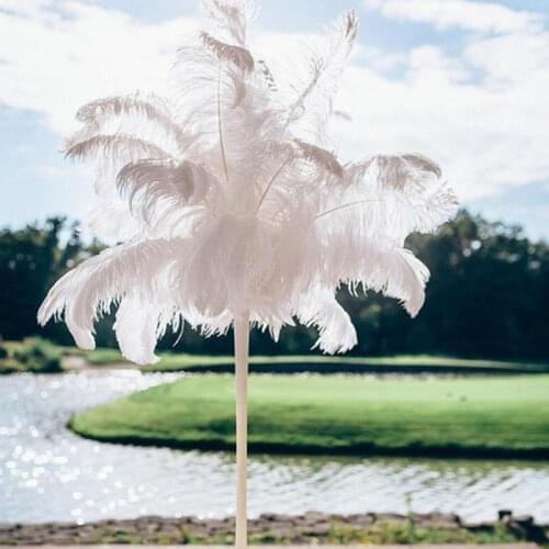 10pcs Natural Ostrich Feather Large Fluffy Feathers for Carnival Wedding Party Home Room DIY Decorations 15-20/ 25-30/ 30-35cm