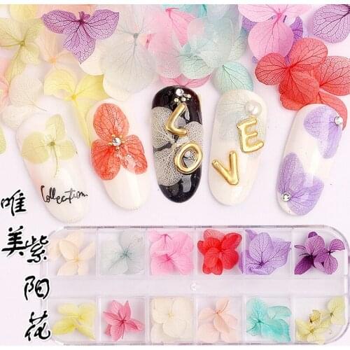 Nail three-dimensional dried flower petals hydrangea dried flowers 36pcs flower nail DIY decorative phototherapy nail sticker