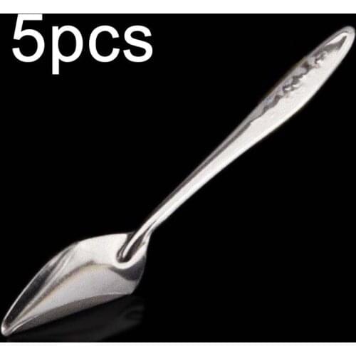 5 Pcs Baby Bird Pointed Feeding Spoon Stainless Steel Milk Medicine Parrot Feeder for All Baby Bird Peony Cockatiel