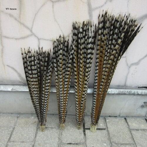 Wholesale 50Pcs 30-180CM Natural Pheasant Tail Feathers TOP High DIY Party Wedding Decorations Quality Pheasant Feathers plume