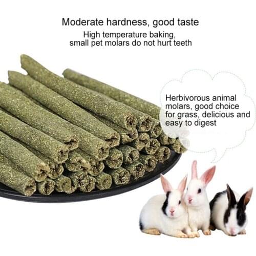 DOGGYZSTYLE Toys For Animals