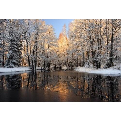 Winter scenery photographic backgrounds vinyl natural vlog photography backdrop for photography studio props fotografia lv-1601