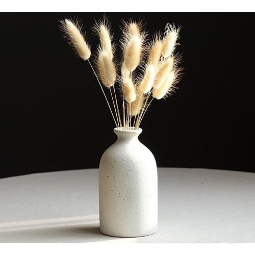 PAMPAS GRASS THINKER Home And Garden Products