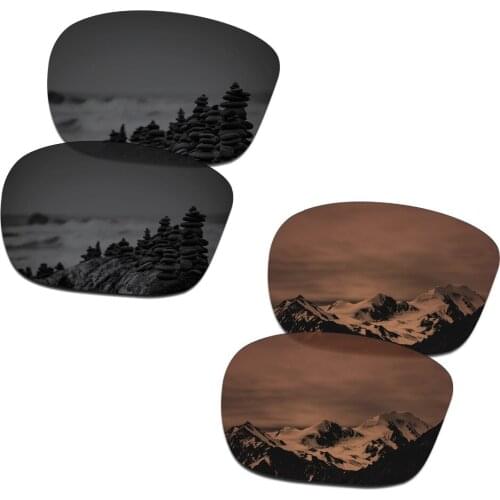 SmartVLT 2 Pairs Polarized Sunglasses Replacement Lenses for Oakley Sliver F Stealth Black and Amber Brown