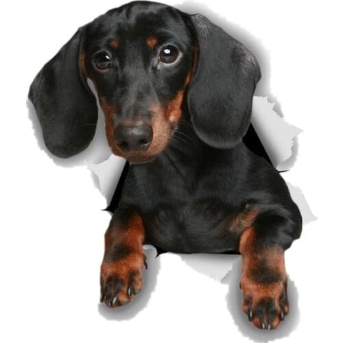S41023# Various Sizes Funny Self-Adhesive Decal Black Dachshund Car Sticker Waterproof Auto Decors on Bumper Rear Window