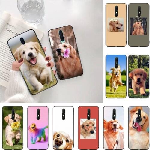 Golden Retriever dog Phone Case For Oppo A5 A9 2020 Reno2 z Renoace 3pro A73S A71 F11