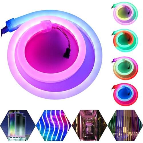 DC 12V 24V Dream Color LED Neon Rope 1903IC WS2811 WS2812 Waterproof Programmable Addressable Riccon RGB LED Strip Light Lamp