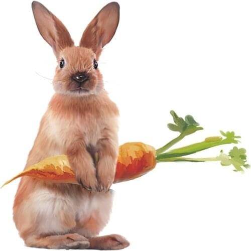 Stunned Rabbit Wall Stickers Kitchen Decor Sticker Removable Vinyl Decals Bedroom Dining room Decorative Posters Home Decoration