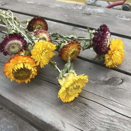 3-5CM Head/26CM,10 Flower Heads Dry Straw Chrysanthemum Branch,Decorative Daisy Dried Natural Sunflower Bouquet For Home decor