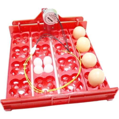 16 Eggs / 64 Birds Eggstray Automatic Incubator Chickens Ducks And Quails Pigeons And Other Birds Motor Incubation Equipment