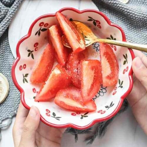 Logyua Kitchen Porcelain Bowls