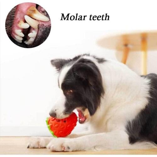 New Dog Toy for Aggressive Chewer Indestructible Dog Chew Toy for Training Cleaning Strawberry-Shaped Durable Rubber Dog Toy cut