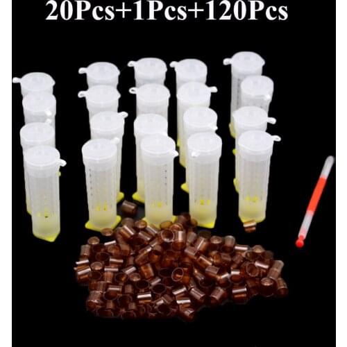 1 SET Beekeeping Queen Bee Rearing Apiculture Kit Cage Cell Protective Cover Cages Plastic Transfer Needle Bees Tools Supply