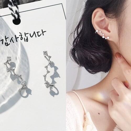 Silver Earrings for Women Zircon Flower Women Stud Earrings Sterling 925 Silver Elegant Fashion Jewelry Accessories Wholesale