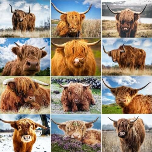 HUACAN Paint By Number Cow Hand Painted Painting Art Gift DIY Coloring By Numbers Animal Kits Home Decoration