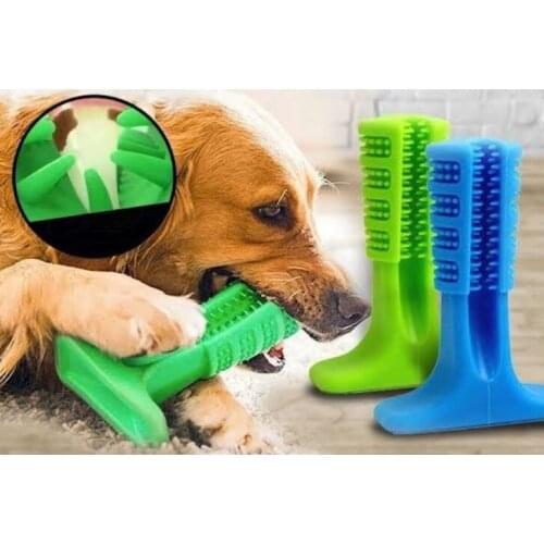 The Apparatus Biting Dog Toothbrush Small-Sized
