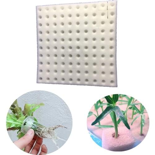 100 pcs 1 Lot Soilless Hydroponic Vegetables Soilless Cultivation System Nursery Sponge