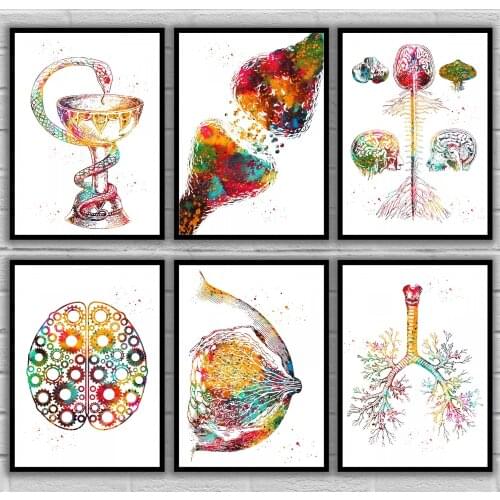 Bowl Of Hygieia Brain Spine Brain Mechanism Brain Synapse Breast Anatomy Bronchial Tree Anatomical Medical And Science Poster