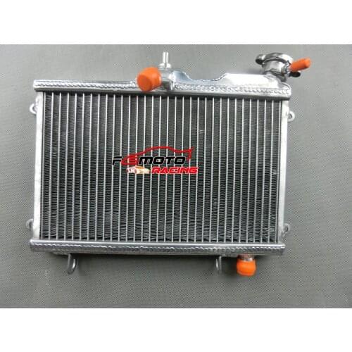 Aluminum Alloy Radiator Fit For Yamaha TDR250 TDR 250