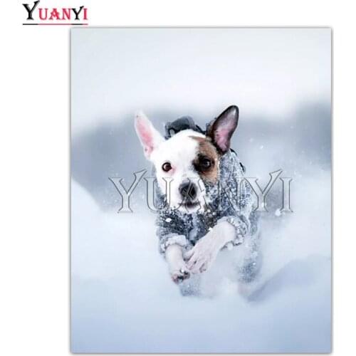 Full Square Diamond embroidery Cartoon puppy DIY 3D Diamond mosaic Chihuahua small dog Full Round Diamond painting Cross stitch