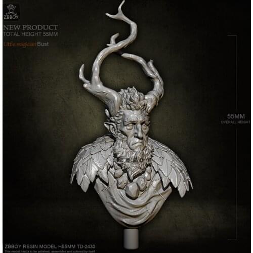 55MM Resin bust kits model figure toy self-assembled TD-2430