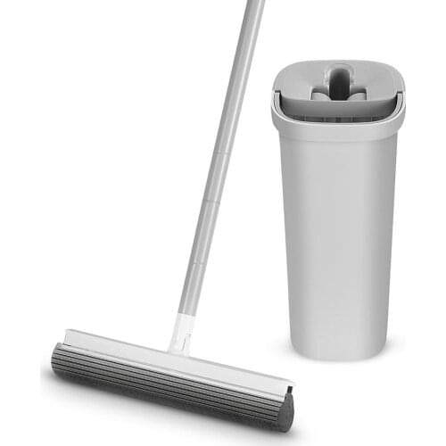 Eyliden Mops