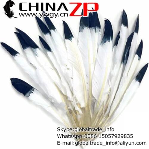 CHINAZP Factory www.ywgy.cn No1.Manufacturer 1000pcs/lot Dyed White with Black Tips Duck Cochettes Loose Feathers