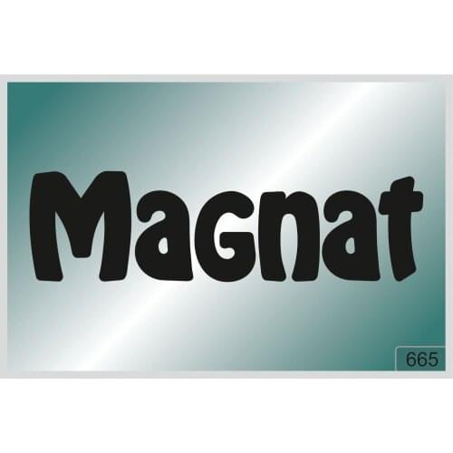 For MAGNAT -2 pcs. stickers HIGH QUALITY DECALS different colors 665