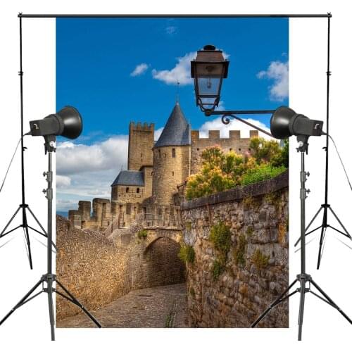 150x220cm Blue Sky Photography Background Ancient Castle Architectural Landscape Backdrop Studio Photography Backdrop