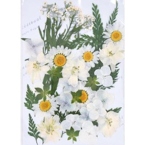 Design-9 40pcs Mixed Pressed Dried Flower Leaves Filler For Epoxy Resin Jewelry Making Postcard Frame Phone Case Craft DIY