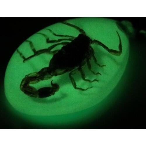 LEEPEE Noctilucent Car Keyring Creative Scorpion Keychain Key Rings Handbag Wallet Pendant Key Holder Scorpion Amber Pendant