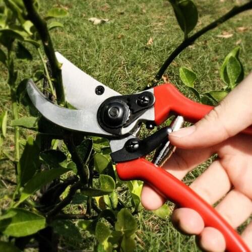 Hot Professional Sharp Pruning Shears Scissors Tree Trimmers Picking Fruit Flowers Multifunctional Manual Farm Garden Scissors