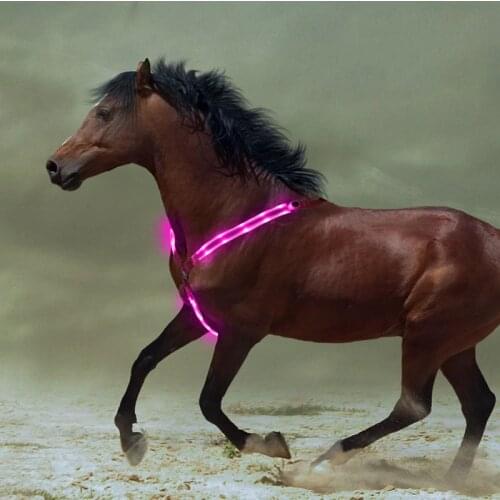 Outdoor Horse Breastplate Dual LED Horse Harness Nylon Night Visible Horse Riding Equipment Racing Equitation Equestrian Belt 30