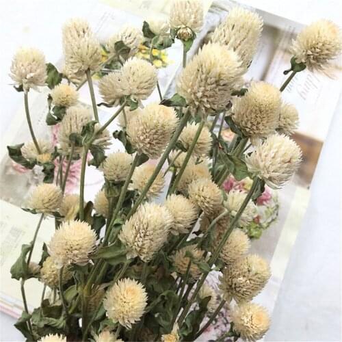15pcs Beige christmas decor gomphrena bouquets dried natural flower bunch gomphrena bouquets
