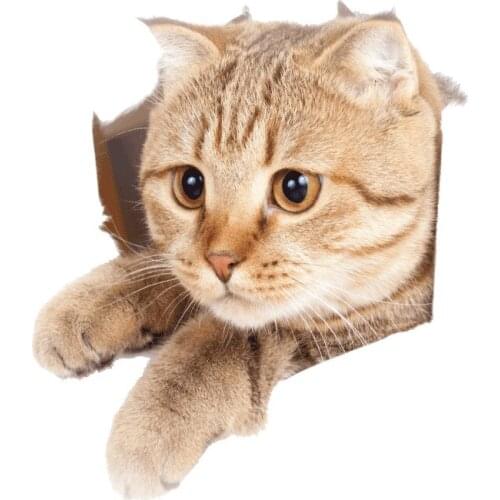 Cartoon animal 3d toilet stickers on the toilet seat cute cats PVC wall sticker bathroom refrigerator door decor stickers decals