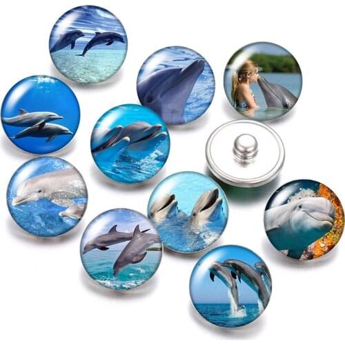 Starfish dolphin Conch Seahorse Jellyfish 18mm snap buttons 10pcs mixed round photo glass cabochon style for snap button jewelry