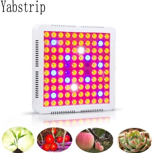 300W LED Grow light full spectrum fitolampt for indoor For indoor Vegetable Flower seedling tent plant grow lamp