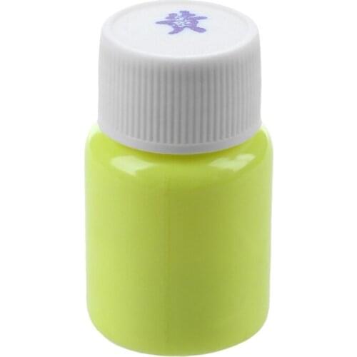 20g Glow in the Dark Acrylic Luminous Paint Bright Pigment Party Decoration DIY