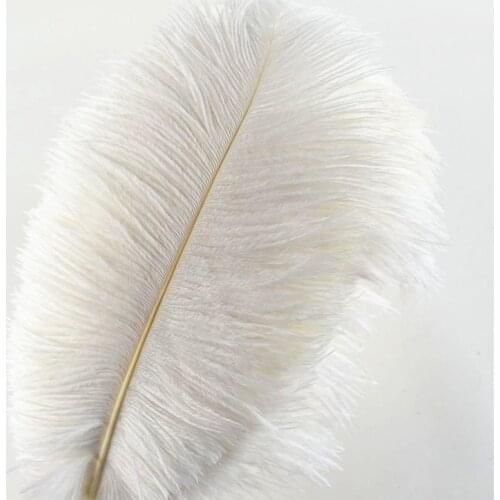 50Pcs/Lot White Ostrich Feathers for Crafts 15-70cm ostrich feather decor Wedding Feathers Decoration DIY Carnaval Assesoires