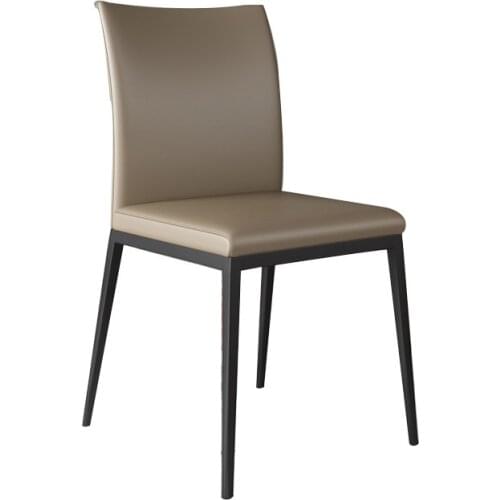 Nordic Dining Chair Home Modern Minimalist Light Luxury Chair Creative Cafe Stool Restaurant Leisure Chair Net Red