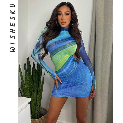 Mesh See Through Print Package Hip Bodycon Mini Dress Women Sexy Backless Long Sleeve Slim New Club Sundress 2021 Summer