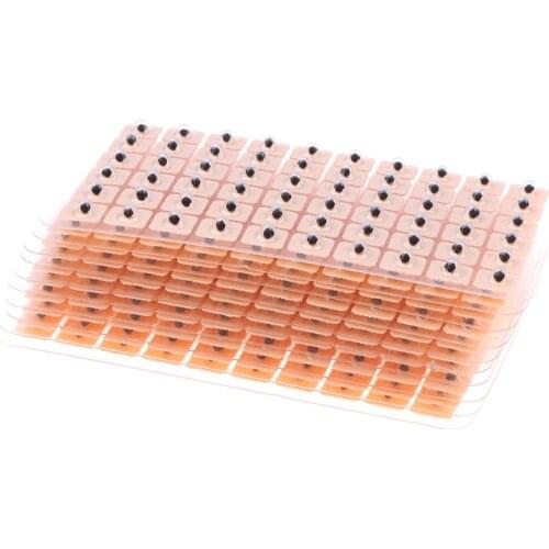 600pcs Disposable Press Needle Ear Seeds Acupuncture Vaccaria Plaster Bean Massagee Multi-Condition Ear Seed Acupressure Kit