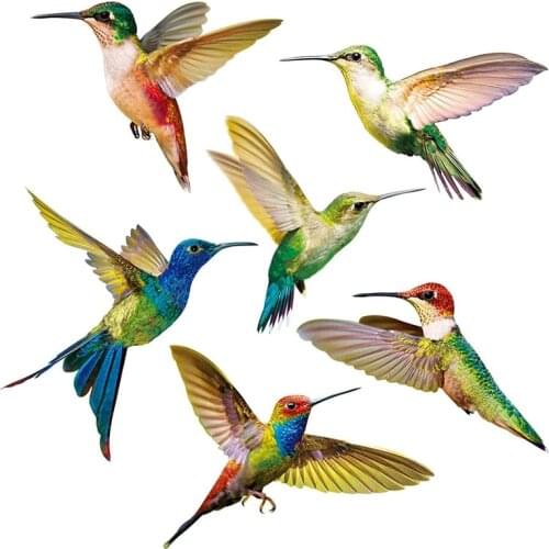 6 Pcs Lrge Size Bird Window Clings Anti-Collision Window Clings Decals to Prevent Bird Strikes on Window Glass