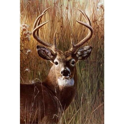 Diamond Painting Full Circle Diamond Kit Rhinestone Picture Art Craft Home Door Decoration (Elk)