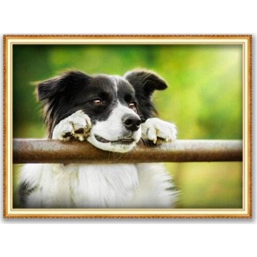 Animal Border Collie DIY 11CT Cross Stitch Embroidery Kits Craft Needlework Set Printed Canvas Cotton Thread Decoration On Sale