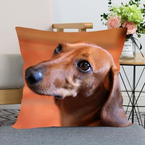 Dachshund Dog Animal Hot Sale Pillow Case High Quality New Years Pillowcase Decorative Pillow Cover For Wedding Decorative