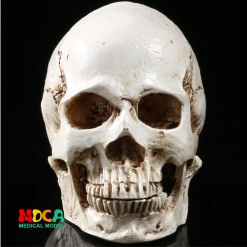 Resin skull Halloween gifts personal ornaments home accessories GXGT002