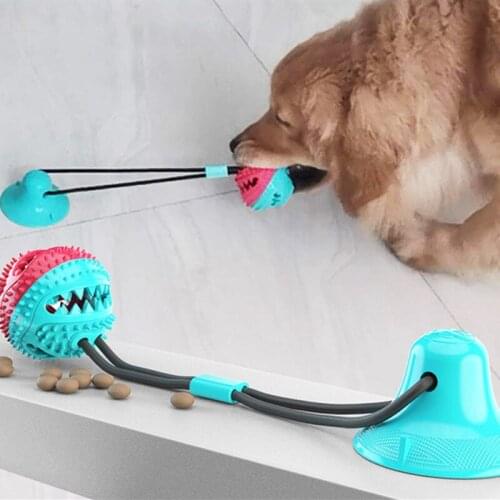 10 Pcs Pet Dog Puppy Tooth Cleaning Toys Pets Tug Rope Chewing Toys With Suction Cup For Small Medium Dogs Pets Dogs Toy